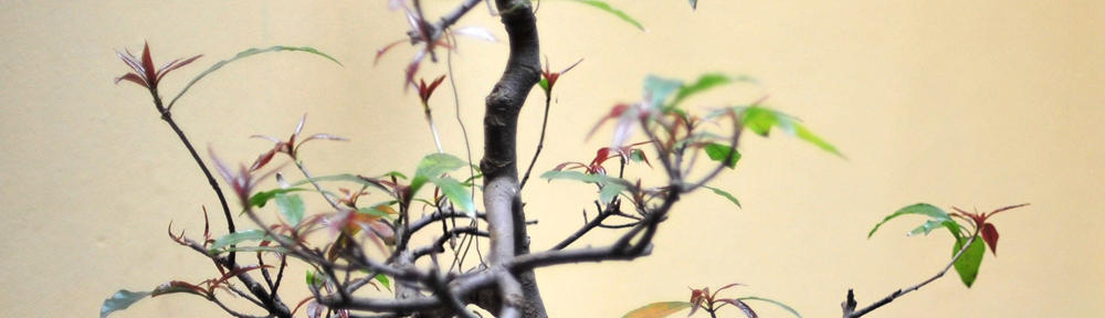 Talenten ontdekken met Talentfreak!